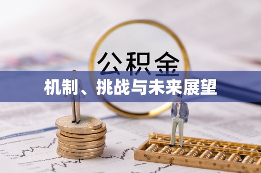 马尔康机制、挑战与未来展望